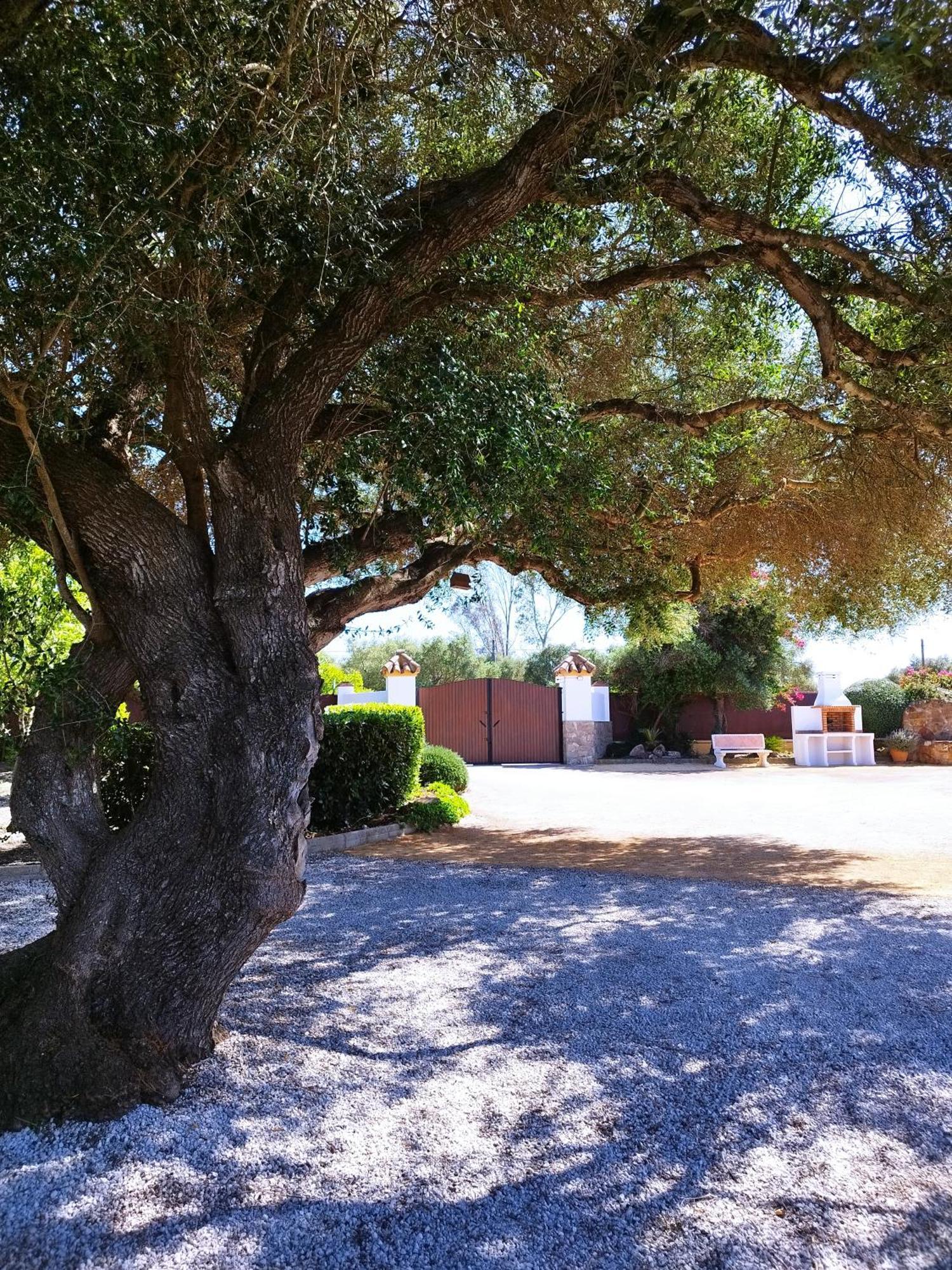Vivienda Rural Los Madronos Malcocinado  Εξωτερικό φωτογραφία