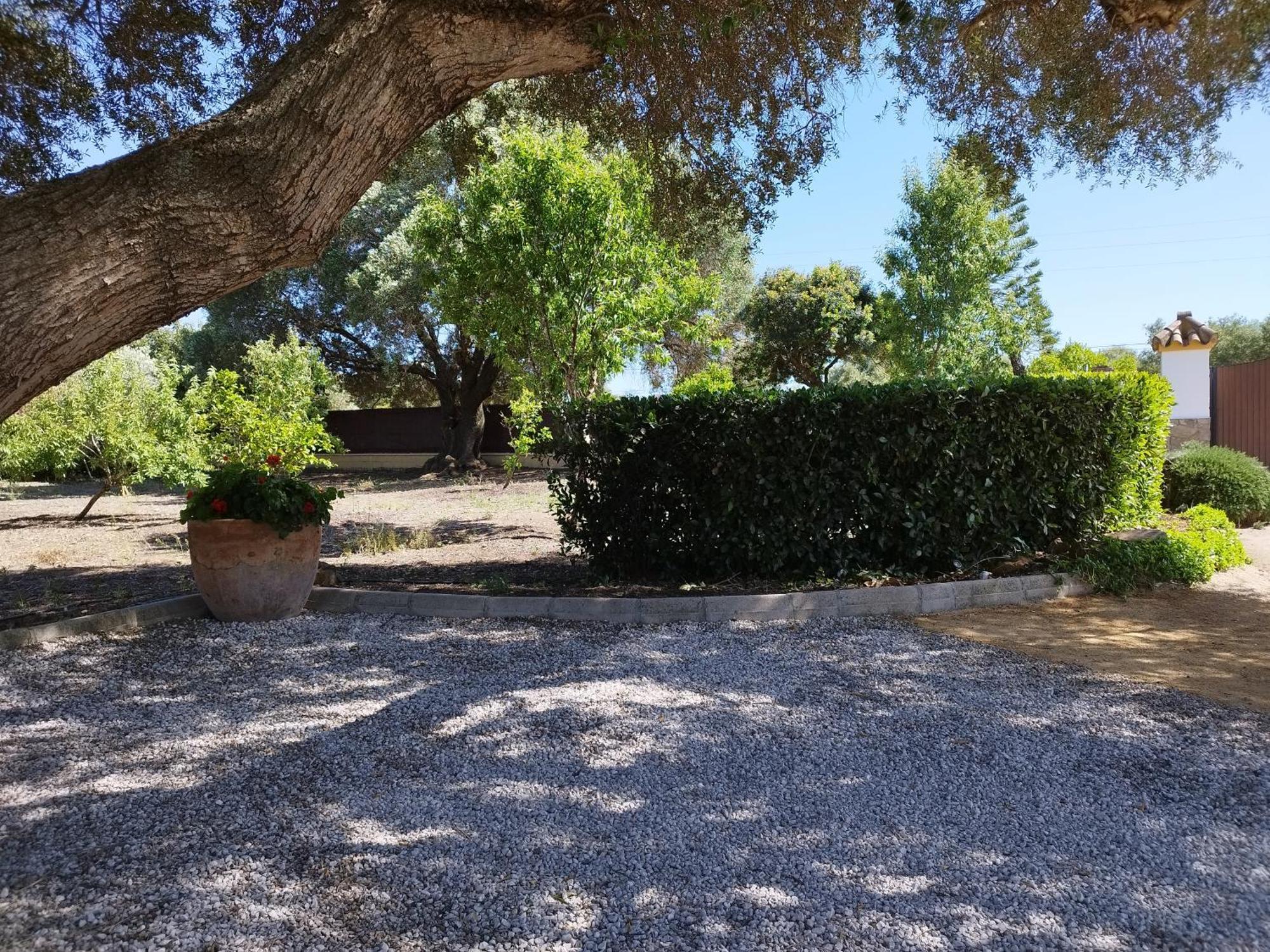 Vivienda Rural Los Madronos Malcocinado  Εξωτερικό φωτογραφία